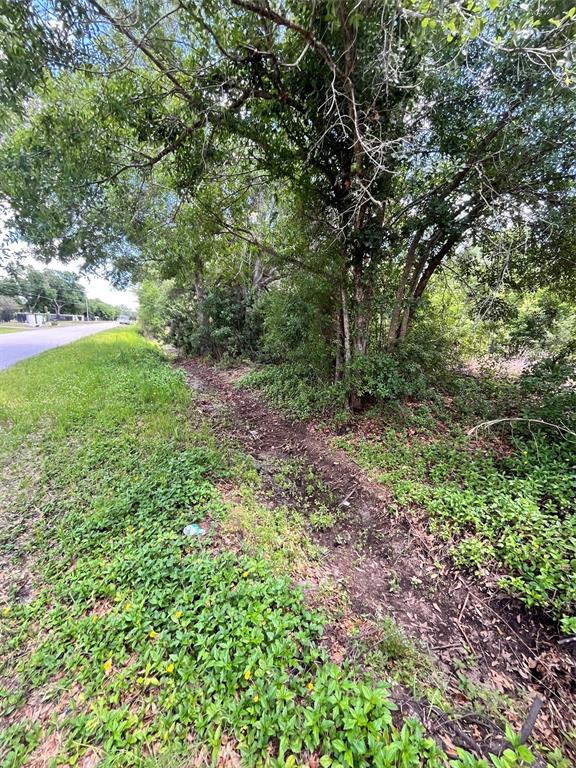 A dirt drainage ditch runs alongside a paved road next to a wooded area — 10907 ESTATES DEL SOL DRIVE, RIVERVIEW, FL