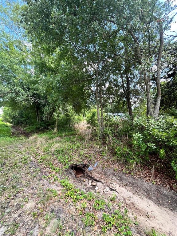 A wooded lot features a small drainage ditch with a culvert opening in the foreground — 10907 ESTATES DEL SOL DRIVE, RIVERVIEW, FL
