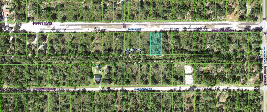 This is a satellite map view showing a rectangular plot of land highlighted in blue — 1019 PALM AVE, INDIAN LAKE ESTATES, FL