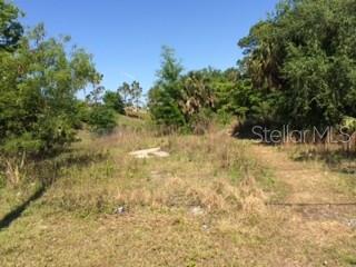 A vacant, grassy lot with scattered trees and shrubs under a clear blue sky — AIRPORT BOULEVARD, SANFORD, FL
