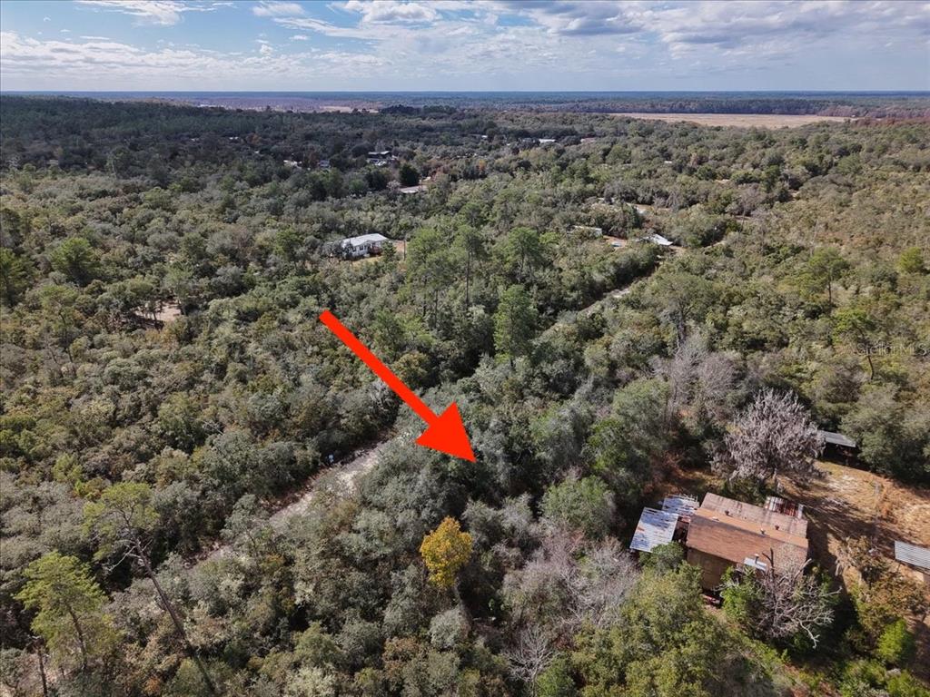 An aerial view shows a wooded lot with a red arrow pointing toward the property — NE 233RD LANE, FORT MC COY, FL
