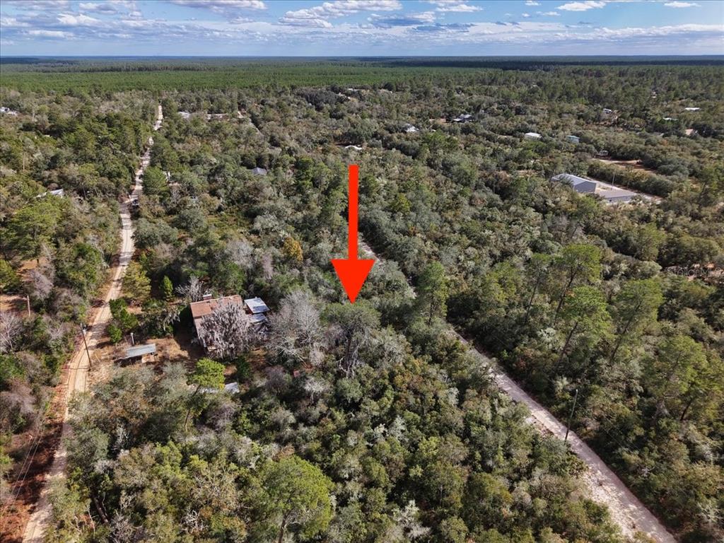An aerial view shows a wooded lot with a house and a red arrow — NE 233RD LANE, FORT MC COY, FL