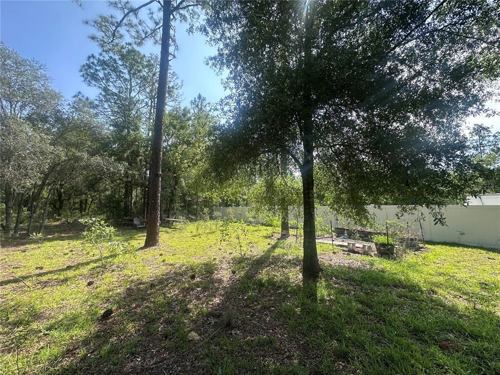 A grassy backyard features mature trees, a small garden bed, and a white privacy fence — TBD NE 3RD PLACE, WILLISTON, FL