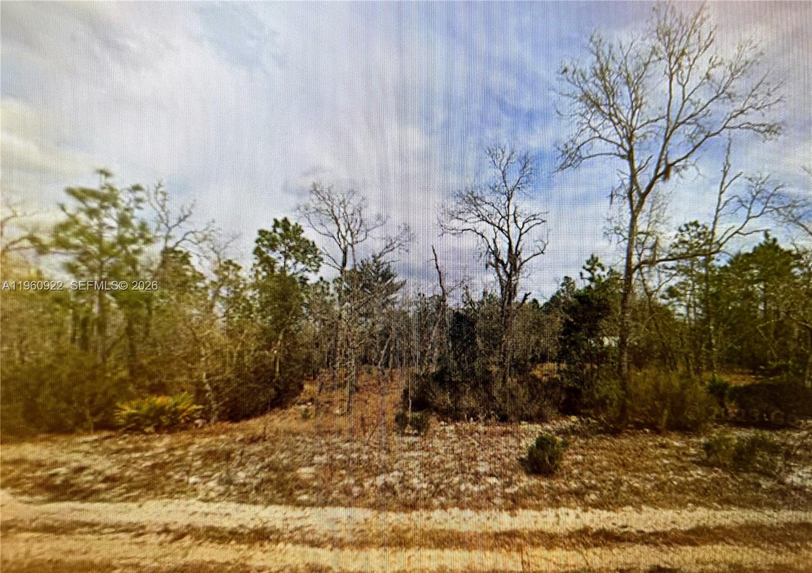 00 Hudson St, Palatka FL 32148