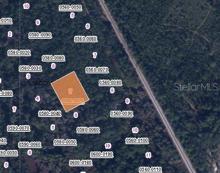 426 MADISON STREET, SATSUMA, FL — photo 2 of 3