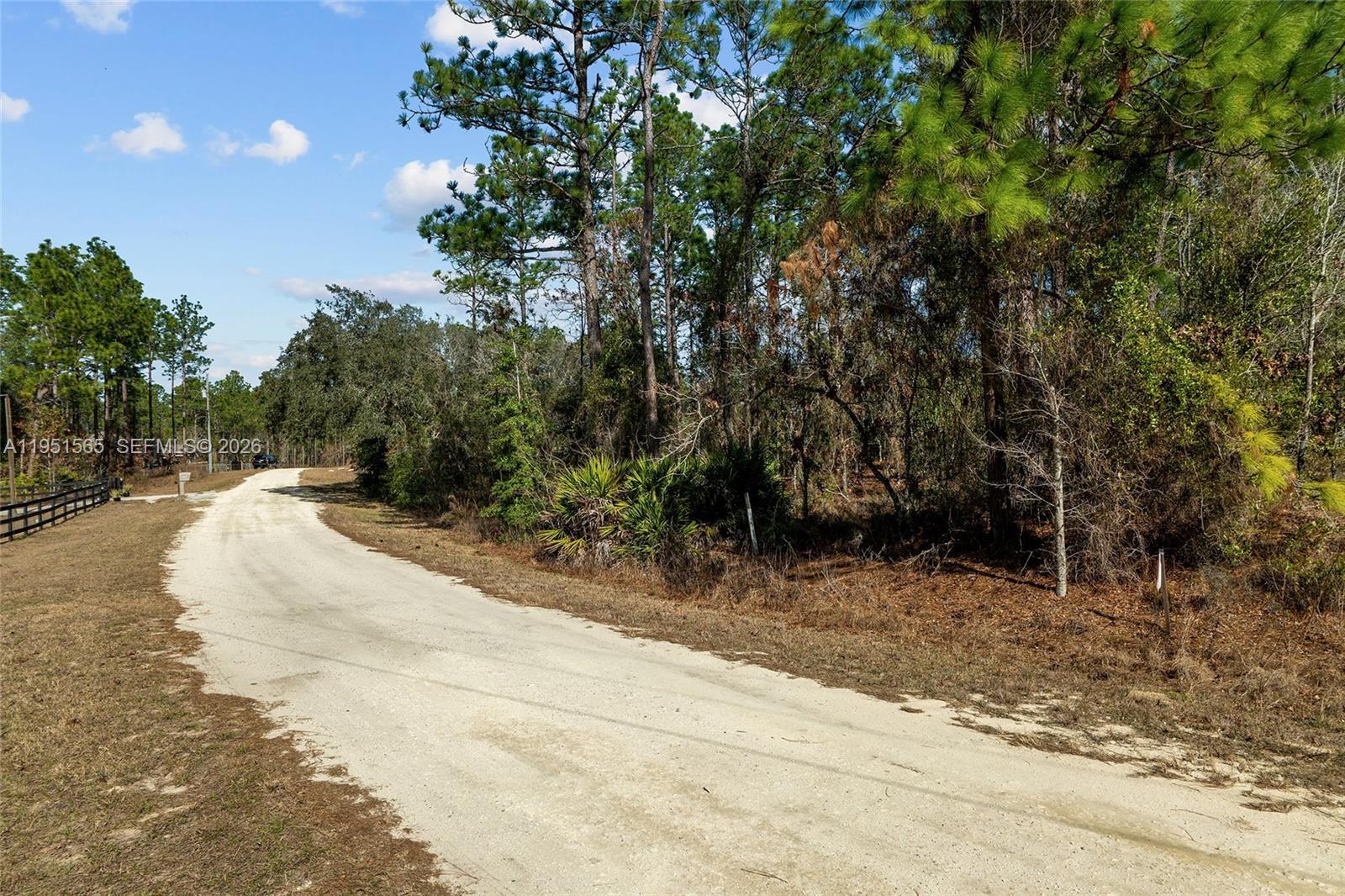 A dirt road curves through a wooded area with a black fence on the left — TBD SW 128th Terrace Road, Ocala FL 34481, OCALA, FL