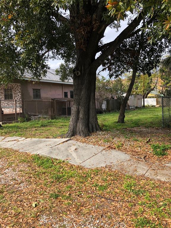 A large tree stands in a grassy yard next to a tan building and sidewalk — 2515 W UNION STREET, TAMPA, FL