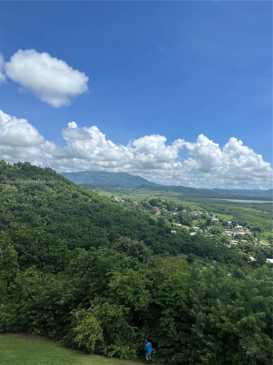 A high-angle view shows a lush, green hillside overlooking a valley with distant mountains — Barrio Anton Ruiz y PR - 925,  HUMACAO, PR 00741, PR
