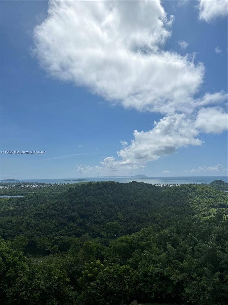 A high-angle view shows a lush green hillside overlooking the ocean under a cloudy sky — Barrio Anton Ruiz y PR - 925,  HUMACAO, PR 00741, PR