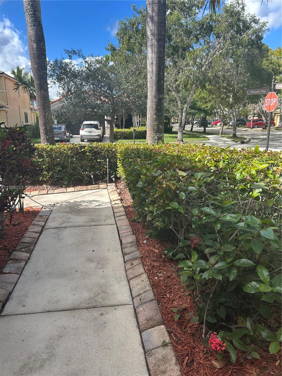A concrete walkway leads through a landscaped yard toward a residential street with parked cars — 948 NW Phoenix Way, Weston FL 33327, WESTON, FL