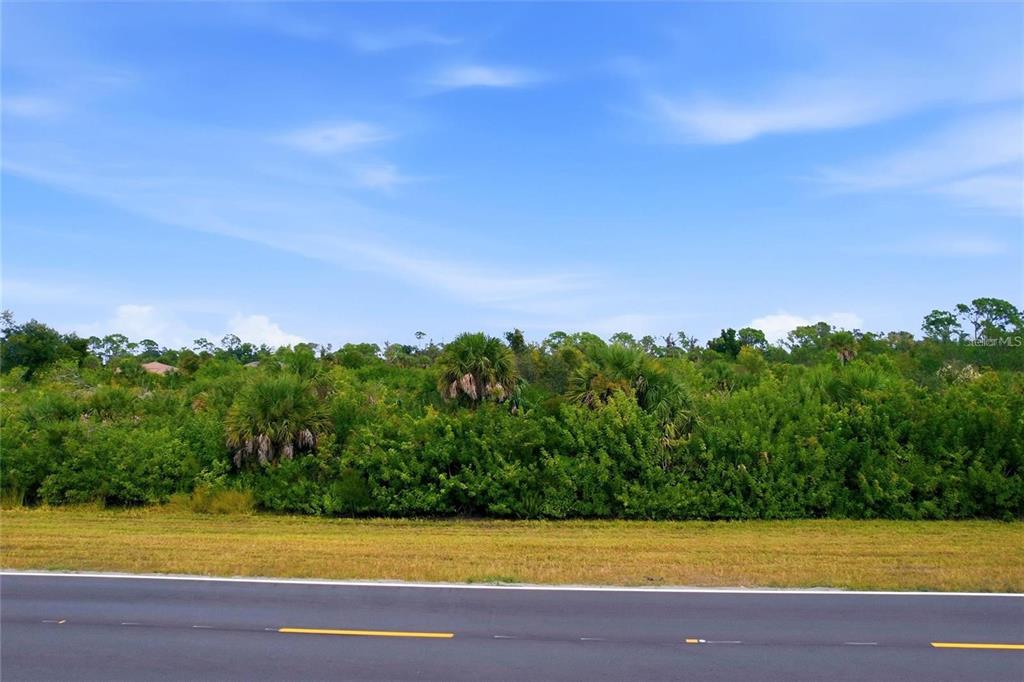A paved road runs in front of a dense, overgrown lot with trees and shrubs — 9424 WILLMINGTON BOULEVARD, ENGLEWOOD, FL