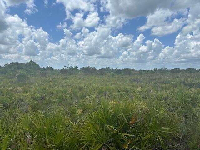 A vast, open field of saw palmetto plants under a bright, cloudy blue sky — 0 313th Street, Okeechobee FL 34972, OKEECHOBEE, FL