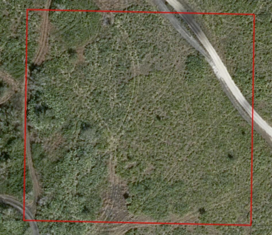 An aerial view shows a square plot of land with dirt paths and vegetation — 0 313th Street, Okeechobee FL 34972, OKEECHOBEE, FL