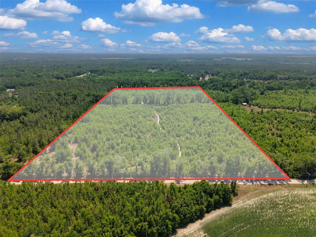 An aerial view shows a rectangular plot of wooded land outlined in red — TBD 000 NE 998TH AVENUE, BRANFORD, FL