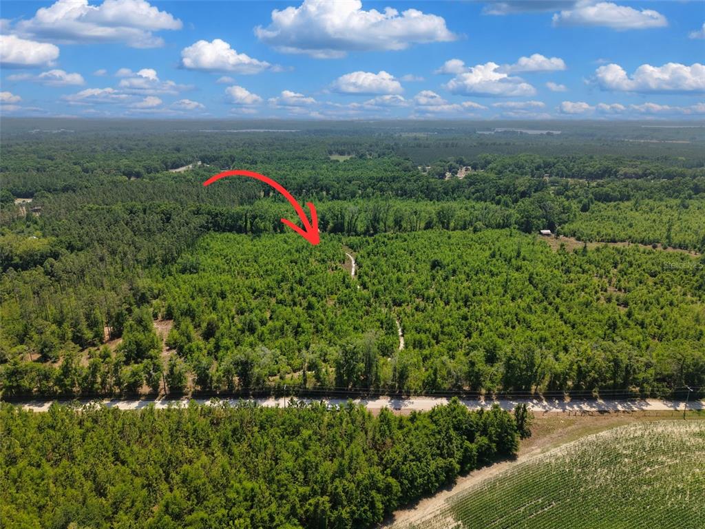 An aerial view shows a large, wooded plot of land bordering a paved road — TBD 000 NE 998TH AVENUE, BRANFORD, FL