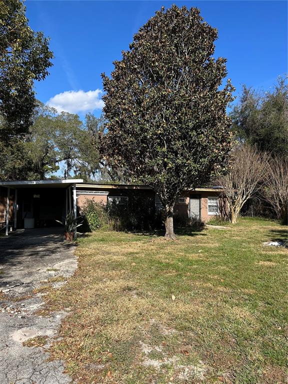 A single-story house with a carport sits behind a large tree and grassy yard — 20621 SE HIGHWAY 42, UMATILLA, FL