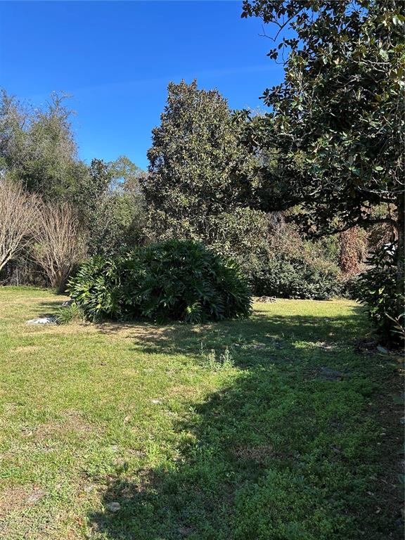 A grassy yard features a large, rounded shrub in front of several mature trees — 20621 SE HIGHWAY 42, UMATILLA, FL