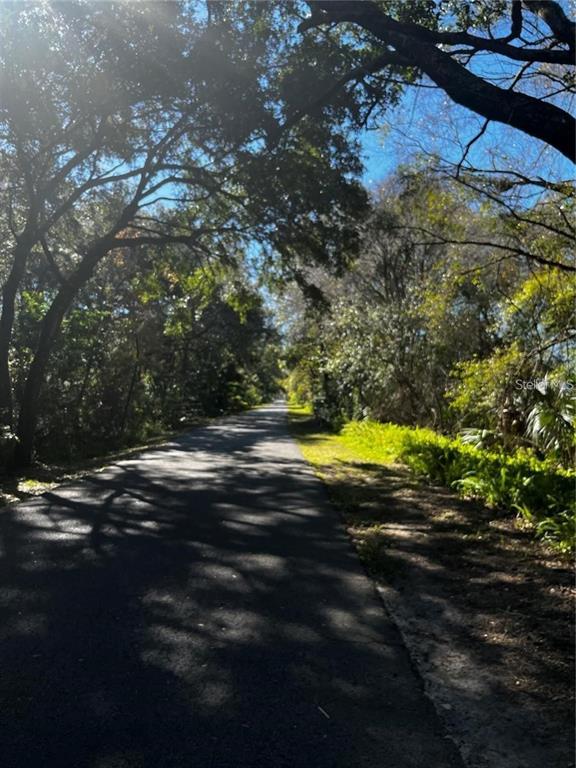 A paved path winds through a wooded area with dappled sunlight filtering through the trees — 310 SKYTRAIL, TAMPA, FL
