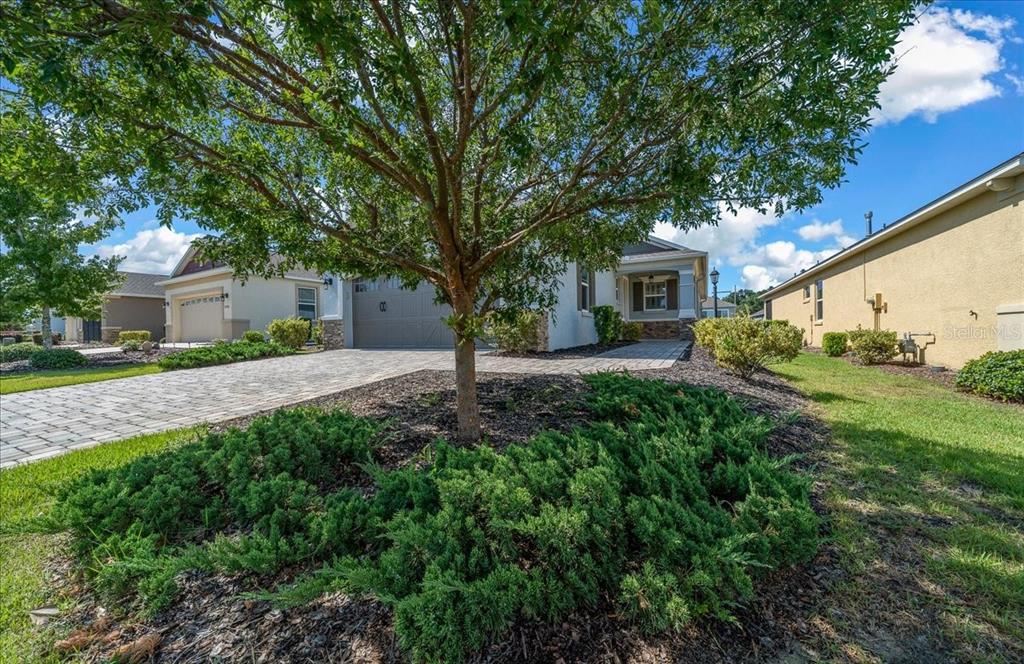 A paved driveway leads to the garage of a single-story house with landscaping — 10018 SW 98TH LANE, OCALA, FL