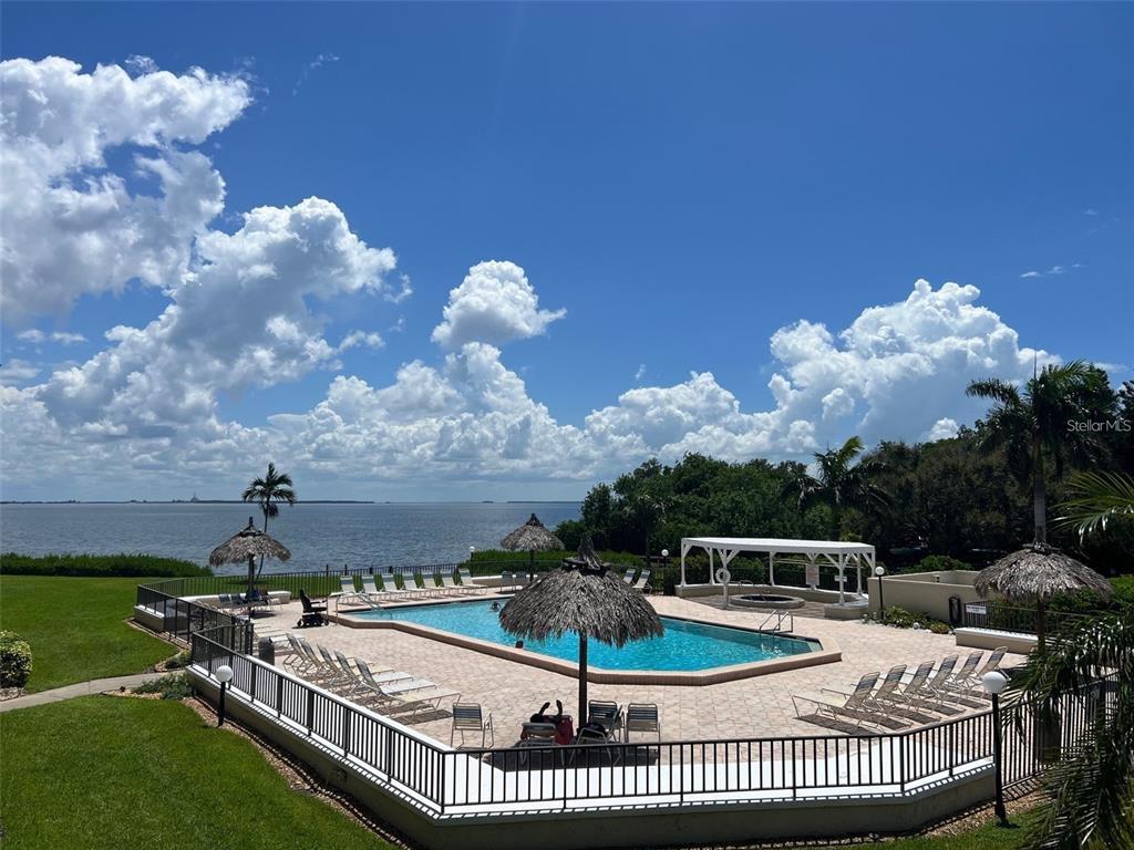 An outdoor swimming pool with lounge chairs and tiki umbrellas overlooks a large body of water — 6372 PALMA DEL MAR BOULEVARD S UNIT 219, ST PETERSBURG, FL