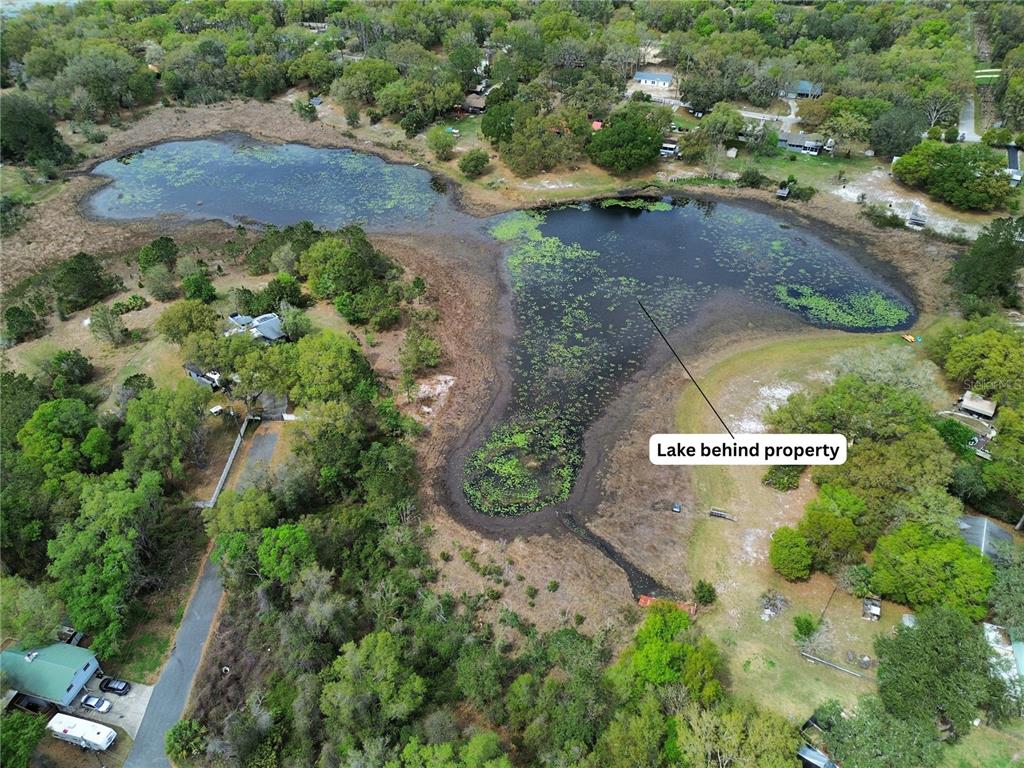 An aerial view shows a lake with lily pads adjacent to a residential property — TBD SE 167TH CT, OCKLAWAHA, FL