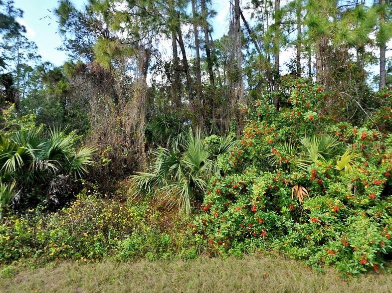 A dense thicket of Florida native vegetation, including saw palmettos and pine trees — JUBILEE CIRCLE, NORTH PORT, FL