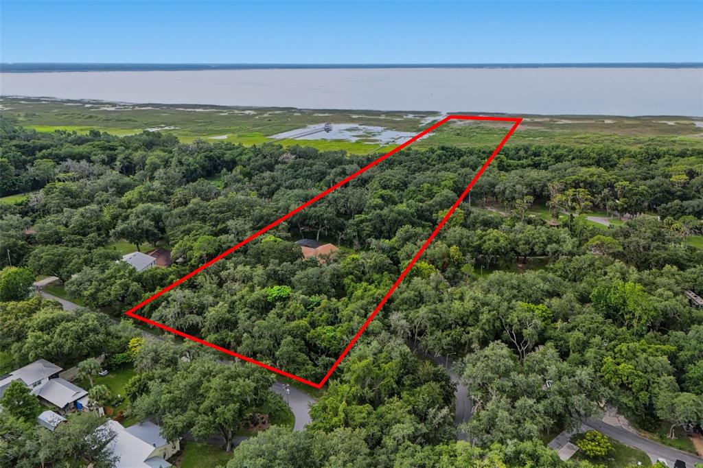 An aerial view shows a large, wooded residential lot outlined in red bordering a body of water — 2794 HOLIDAY WOODS DRIVE, KISSIMMEE, FL