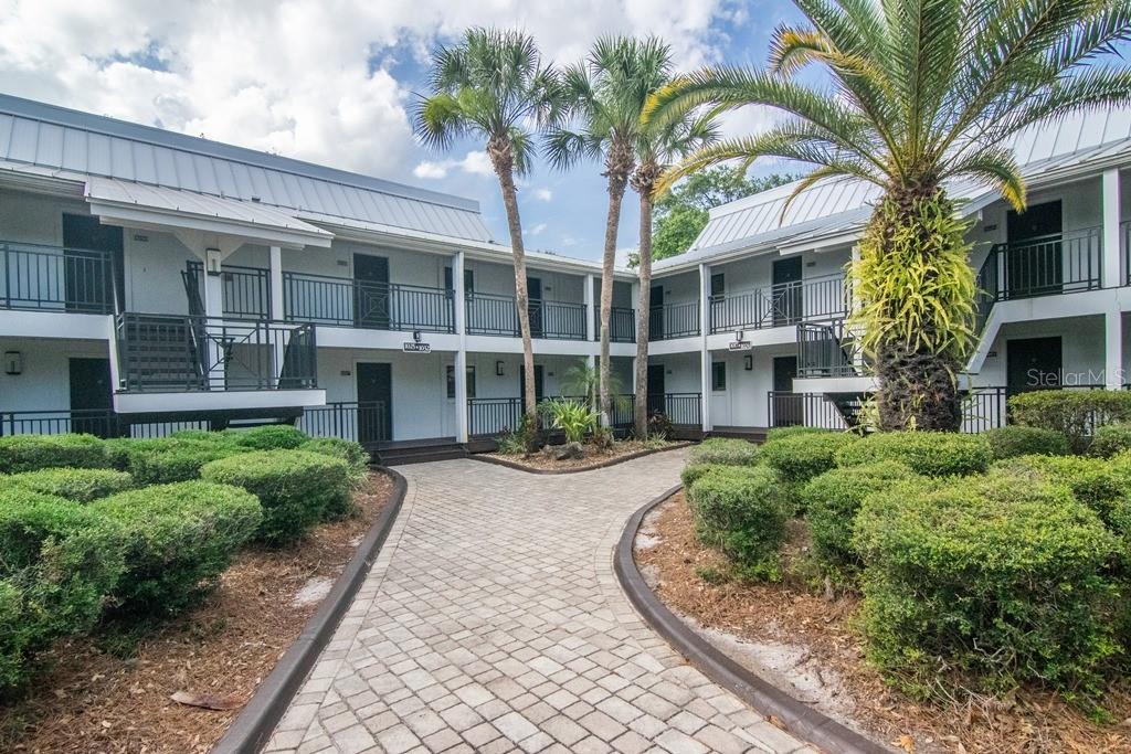 A paved walkway leads to the entrance of a two-story apartment building with palm trees — 4744 FOX HUNT DRIVE UNIT 1022 & 1024, WESLEY CHAPEL, FL