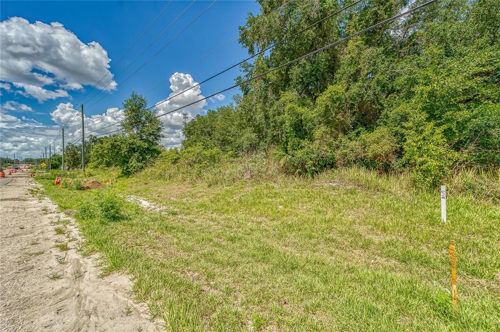 A grassy, undeveloped lot sits beside a dirt road under a bright, cloudy sky — TURKEY CREEK ROAD, PLANT CITY, FL