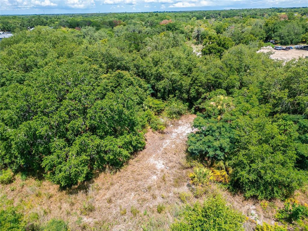 An aerial view shows a sandy, cleared path winding through a dense, wooded lot — TURKEY CREEK ROAD, PLANT CITY, FL