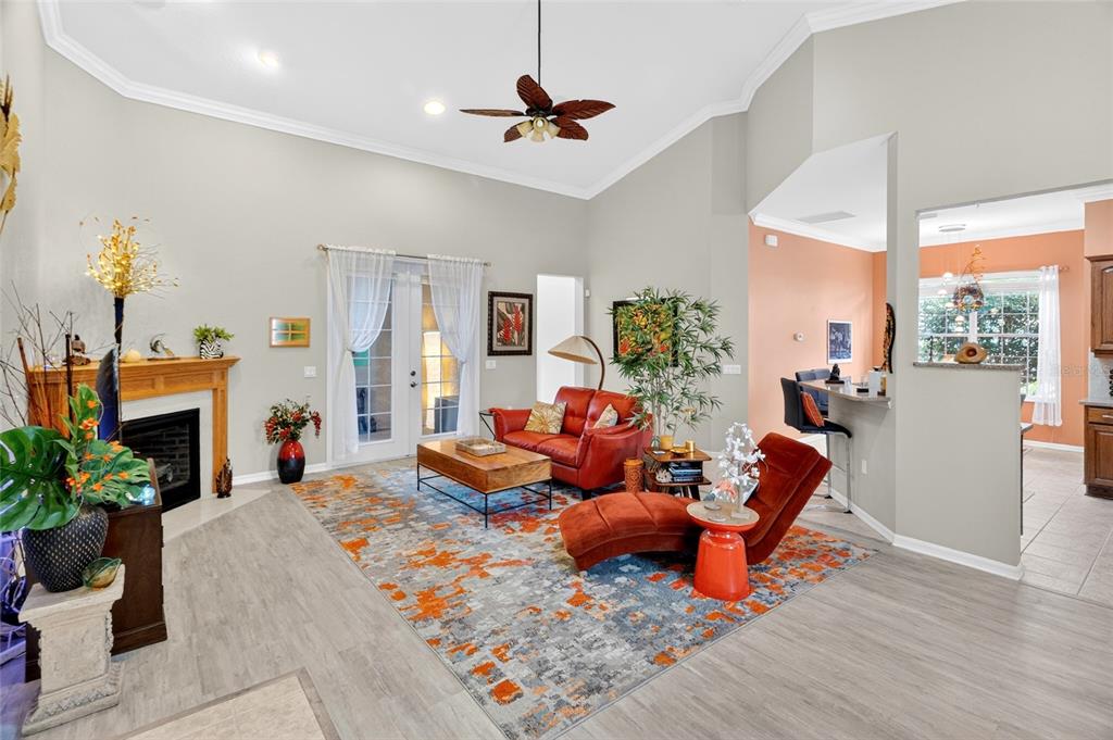 A living room features a fireplace, red furniture, a patterned area rug, and vaulted ceilings — 19562 SW 84TH PLACE, DUNNELLON, FL