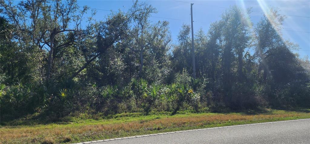 A wooded, undeveloped lot with native vegetation sits adjacent to a paved road — 1173 BISCAYNE DRIVE, PORT CHARLOTTE, FL