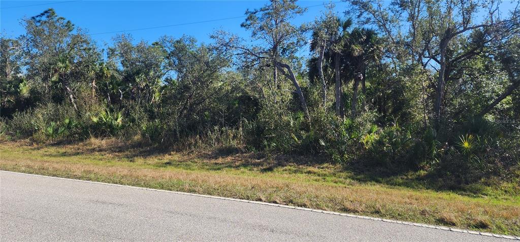A view of a vacant, wooded lot bordering an asphalt road under a clear sky — 1173 BISCAYNE DRIVE, PORT CHARLOTTE, FL