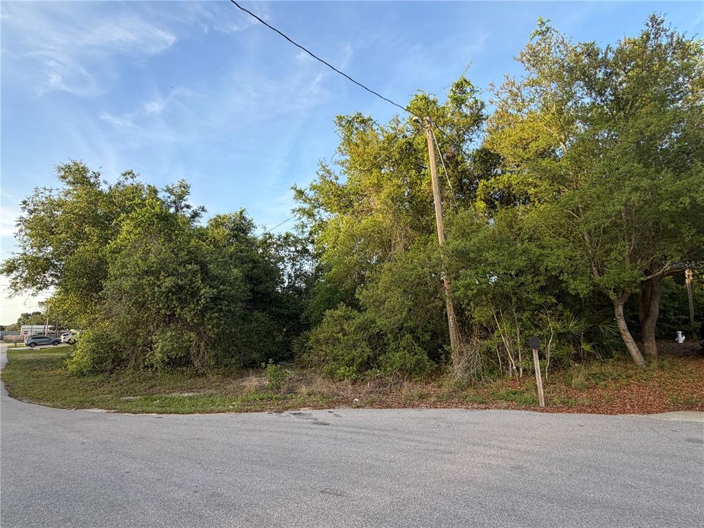 A vacant, wooded residential lot sits at the corner of a paved street — MAGNOLIA CIRCLE, LAKE WALES, FL