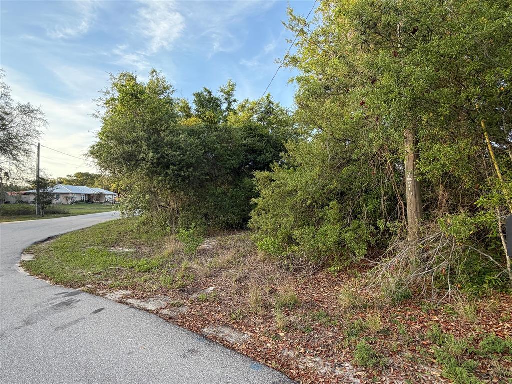 A vacant, tree-covered lot sits adjacent to a paved road in a residential area — MAGNOLIA CIRCLE, LAKE WALES, FL