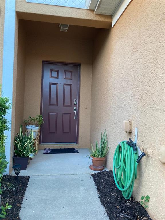 A front entryway features a brown door, potted plants, and a green garden hose — 282 BEXLEY DRIVE, DAVENPORT, FL