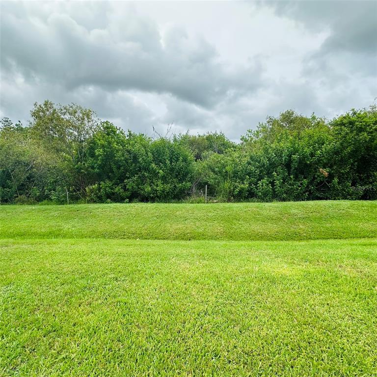 A grassy lawn leads to a dense line of trees under a cloudy sky — 13412 SW PEMBROKE CIRCLE N, LAKE SUZY, FL