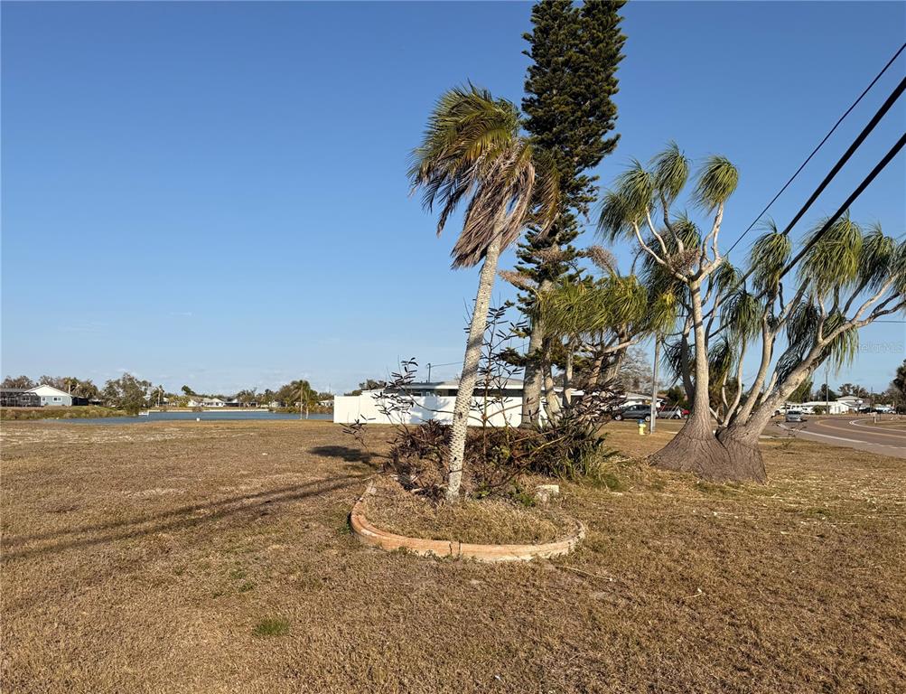 A vacant, grassy lot features a small palm tree and a larger cluster of palms — 303 SHAMROCK BOULEVARD, VENICE, FL