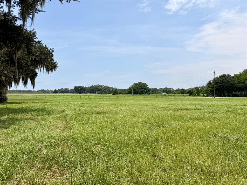 A wide, grassy field stretches toward a distant tree line under a blue sky — PARCEL 4 CR 714, CENTER HILL, FL