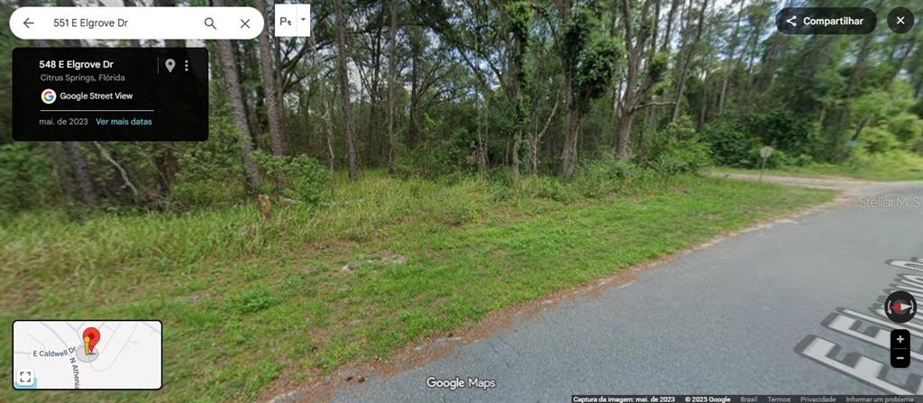 A vacant, wooded residential lot sits along a paved street in a suburban area — 551 E ELGROVE DRIVE, CITRUS SPRINGS, FL