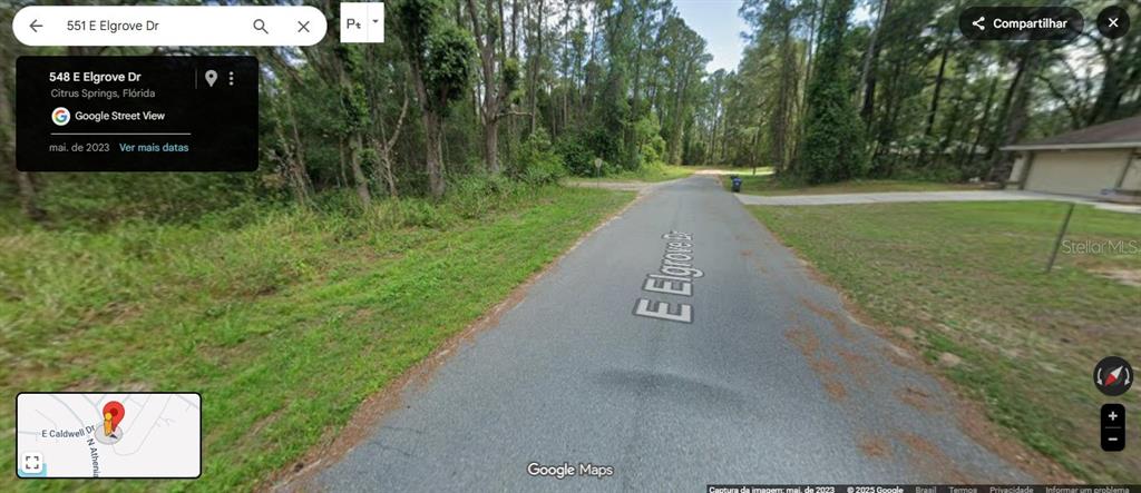 This is a Google Street View image showing a paved road surrounded by wooded areas — 551 E ELGROVE DRIVE, CITRUS SPRINGS, FL