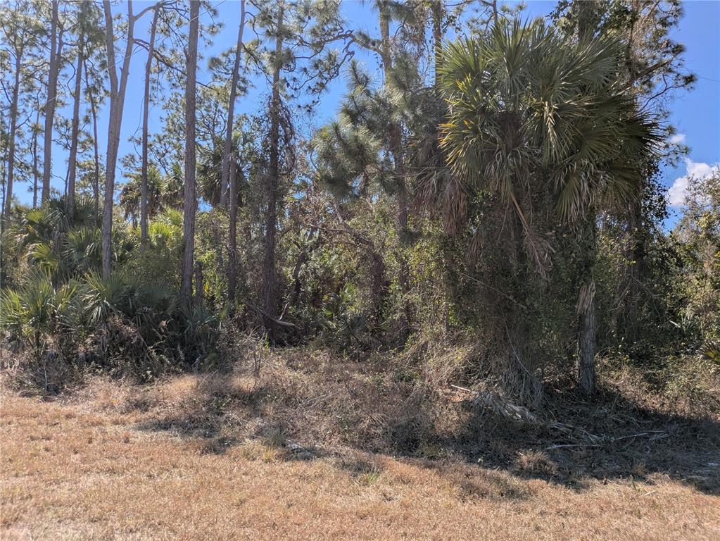BANNOCK CIRCLE, NORTH PORT, FL — photo 2 of 7