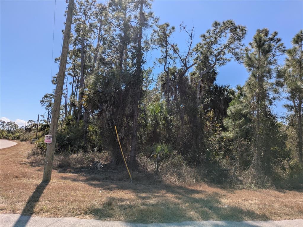 BANNOCK CIRCLE, NORTH PORT, FL — photo 3 of 7