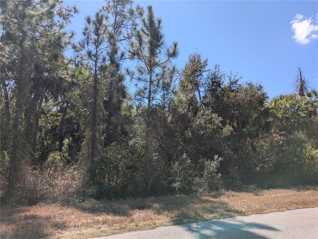 BANNOCK CIRCLE, NORTH PORT, FL — photo 4 of 7