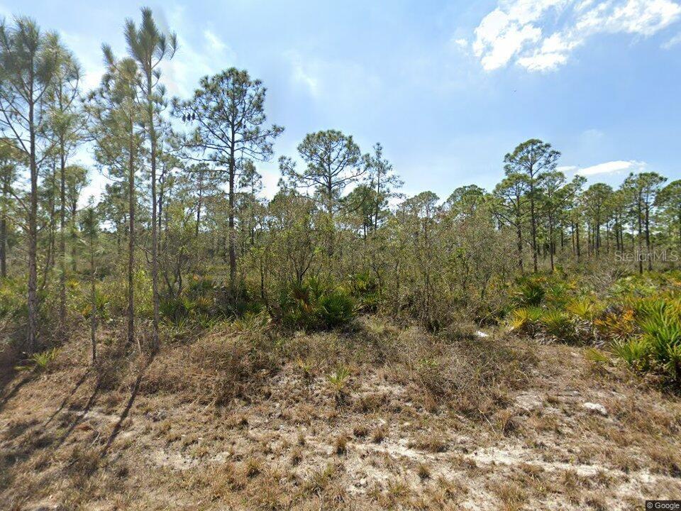A view of a wooded lot with pine trees and low-lying scrub vegetation — 1140 HERON STREET, LAKE PLACID, FL