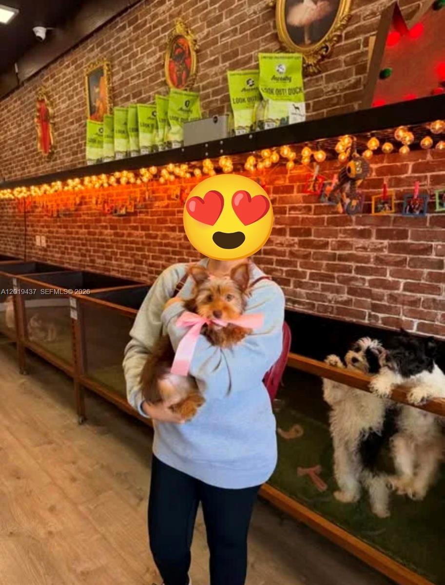A person holds a small dog in a pet store with brick walls and enclosures — 7014 SW 87 ave, Miami FL 33173, MIAMI, FL