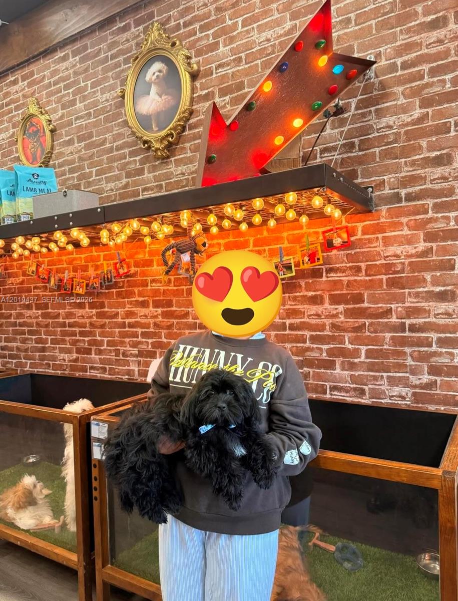 A person holds a black puppy in a room with exposed brick walls and decor — 7014 SW 87 ave, Miami FL 33173, MIAMI, FL