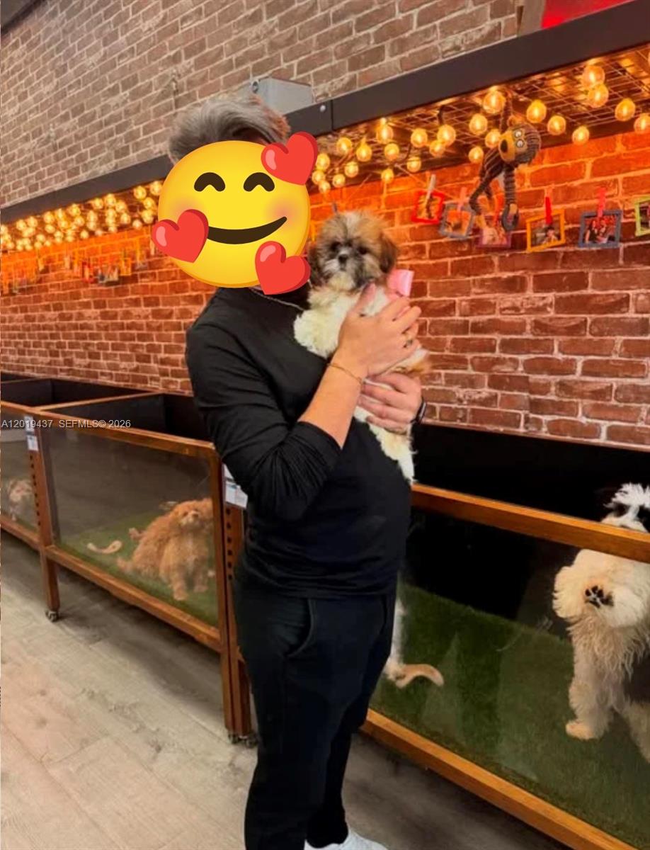 A person holds a small puppy inside a pet store with brick walls and enclosures — 7014 SW 87 ave, Miami FL 33173, MIAMI, FL