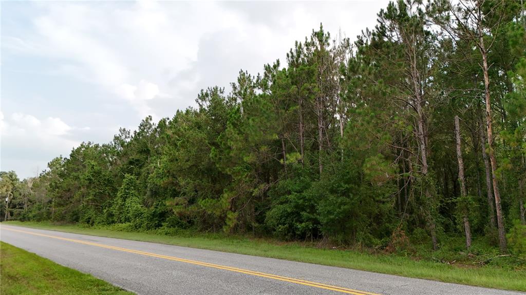A paved road runs alongside a dense forest of pine trees under a cloudy sky — 37625 N COUNTY ROAD 44A, EUSTIS, FL