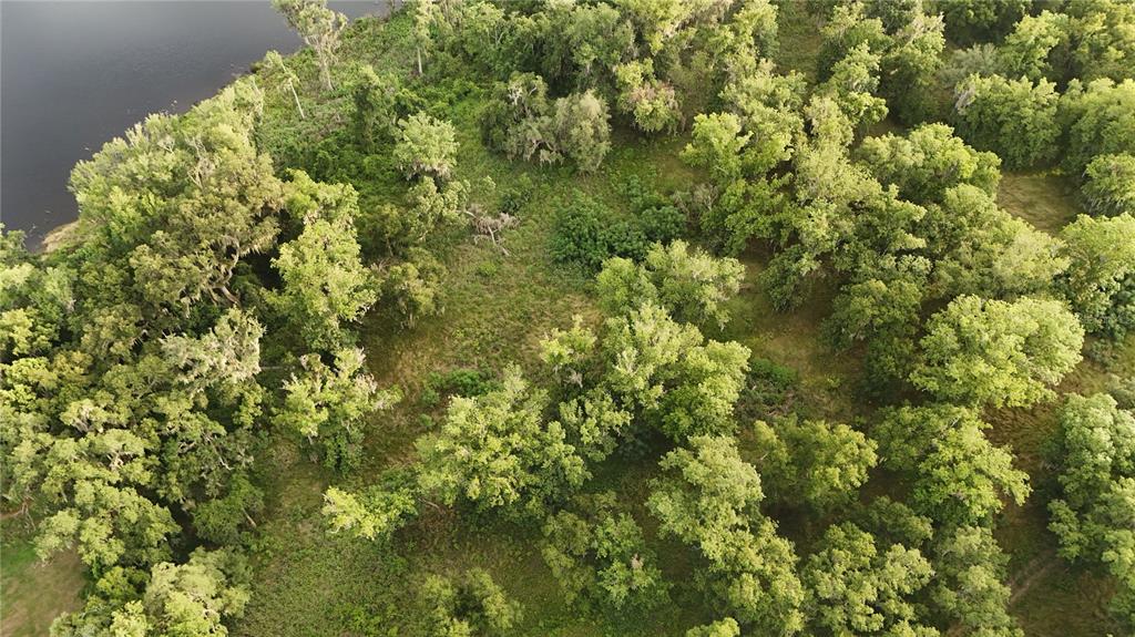 An aerial view shows a wooded lot with scattered trees bordering a dark body of water — 37625 N COUNTY ROAD 44A, EUSTIS, FL
